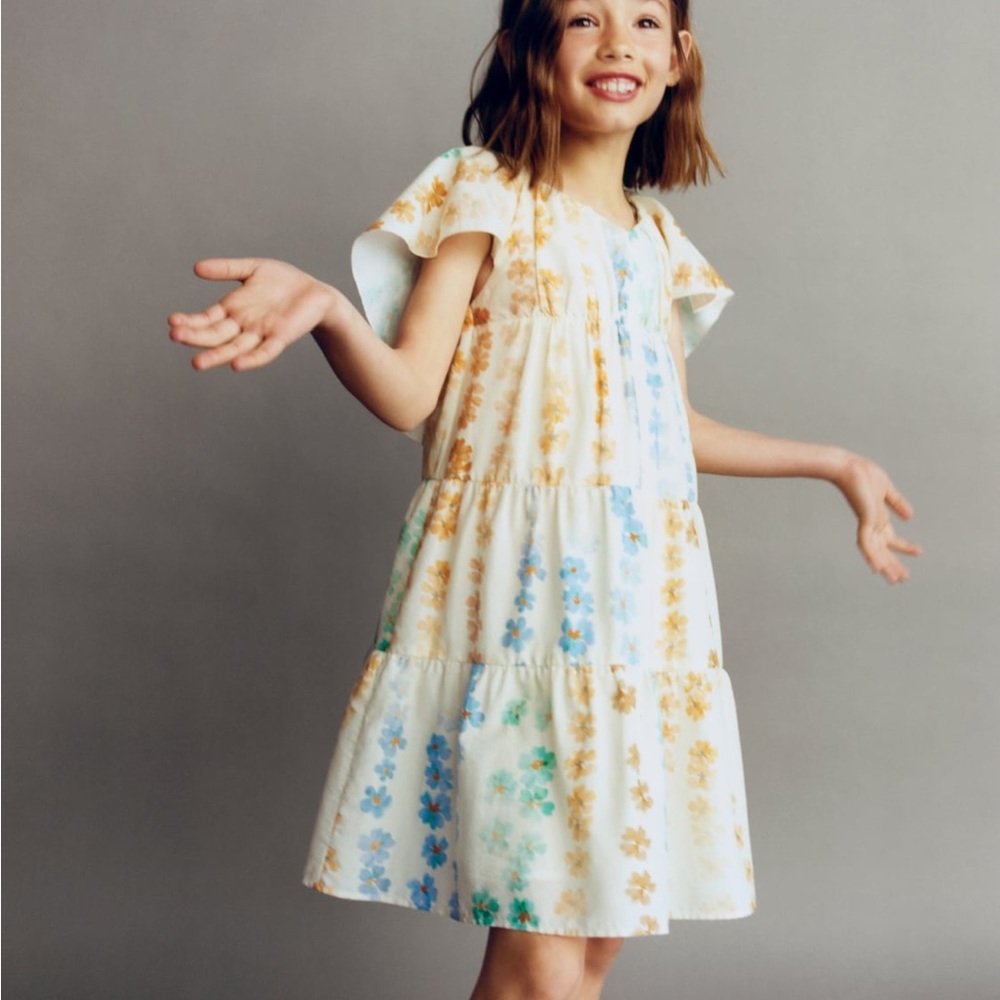 Zara dress